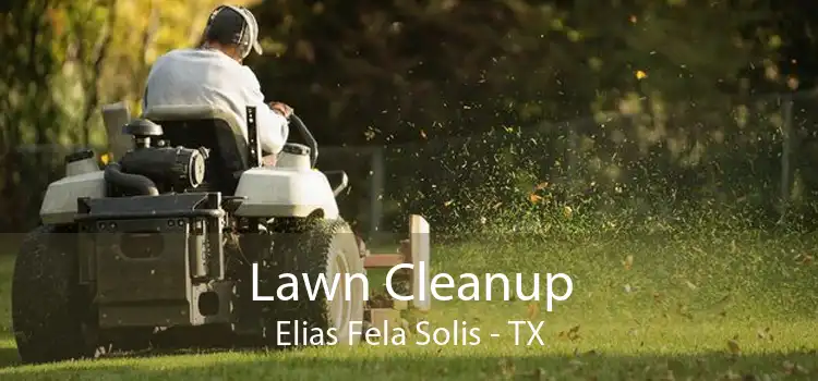 Lawn Cleanup Elias Fela Solis - TX