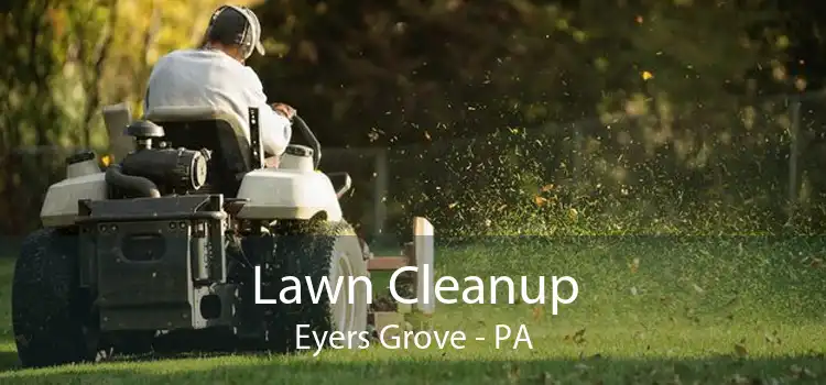 Lawn Cleanup Eyers Grove - PA