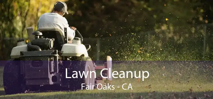 Lawn Cleanup Fair Oaks - CA