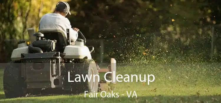 Lawn Cleanup Fair Oaks - VA