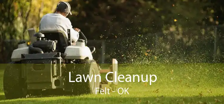Lawn Cleanup Felt - OK