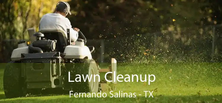 Lawn Cleanup Fernando Salinas - TX