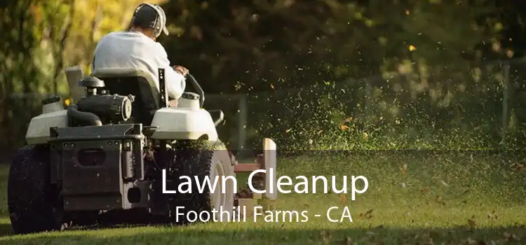 Lawn Cleanup Foothill Farms - CA