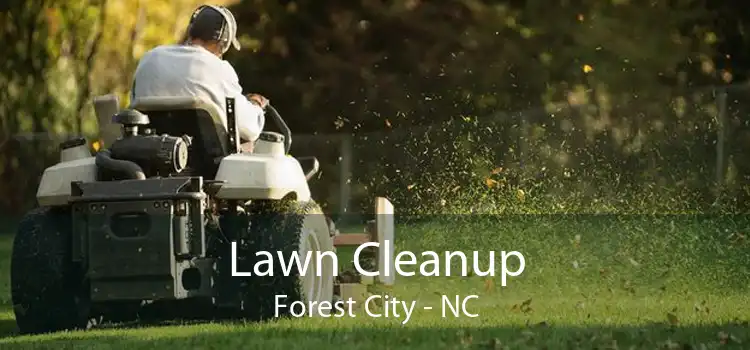 Lawn Cleanup Forest City - NC