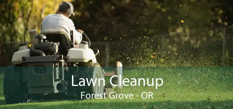 Lawn Cleanup Forest Grove - OR