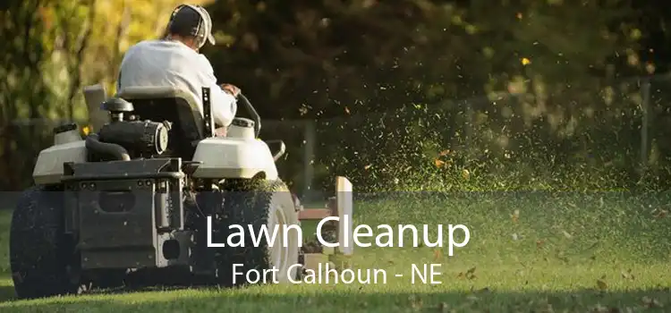 Lawn Cleanup Fort Calhoun - NE