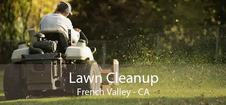Lawn Cleanup French Valley - CA
