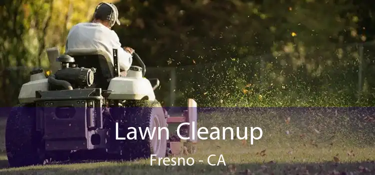  Lawn Cleanup Fresno - CA