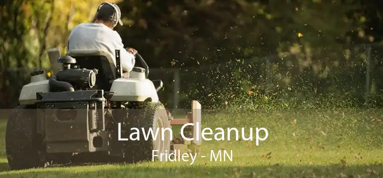 Lawn Cleanup Fridley - MN
