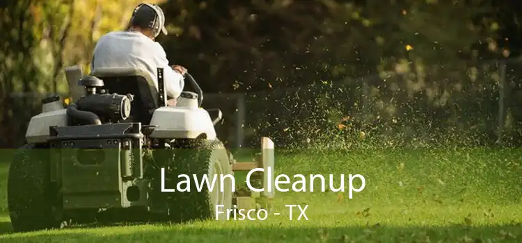 Lawn Cleanup Frisco - TX