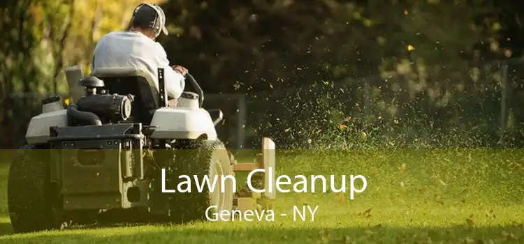 Lawn Cleanup Geneva - NY