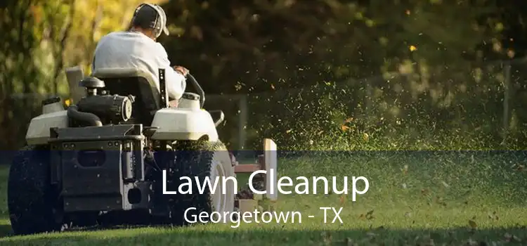 Lawn Cleanup Georgetown - TX