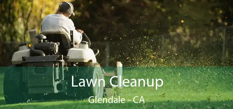  Lawn Cleanup Glendale - CA