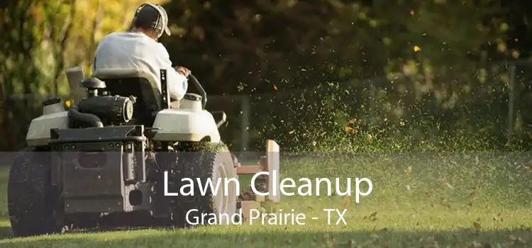 Lawn Cleanup Grand Prairie - TX