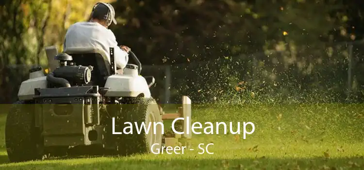 Lawn Cleanup Greer - SC