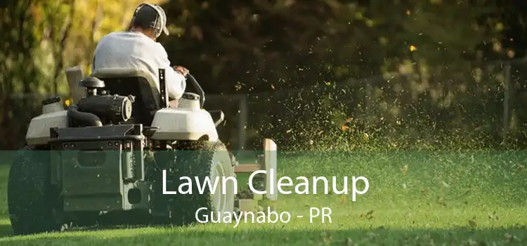 Lawn Cleanup Guaynabo - PR