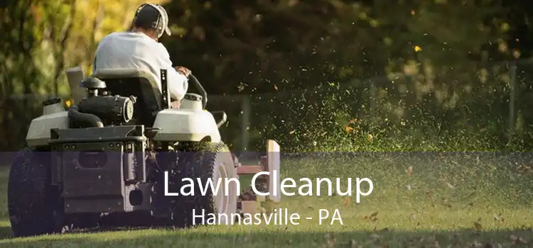 Lawn Cleanup Hannasville - PA
