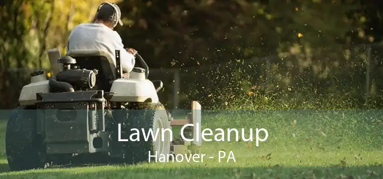 Lawn Cleanup Hanover - PA