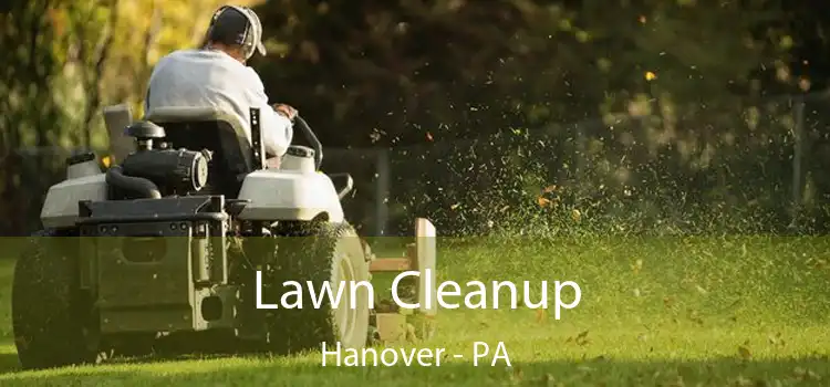  Lawn Cleanup Hanover - PA