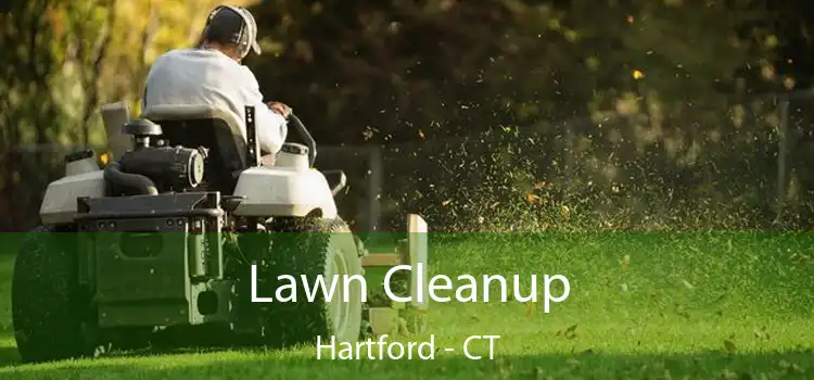 Lawn Cleanup Hartford - CT