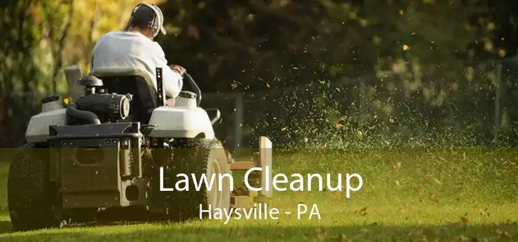 Lawn Cleanup Haysville - PA