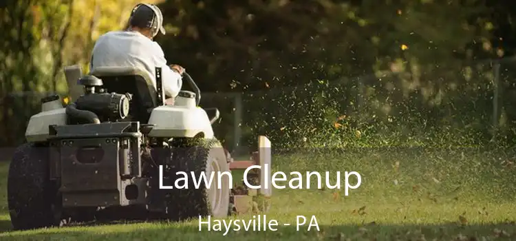  Lawn Cleanup Haysville - PA
