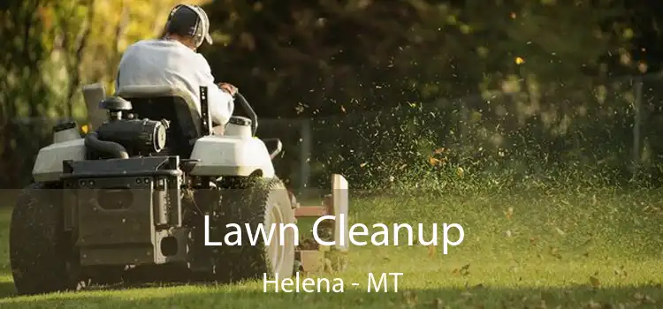 Lawn Cleanup Helena - MT