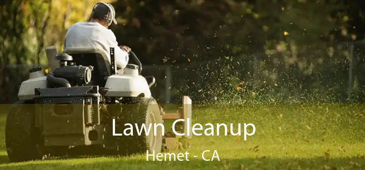 Lawn Cleanup Hemet - CA