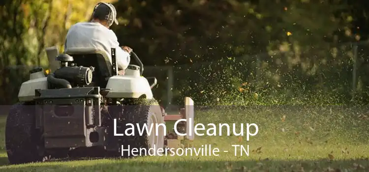 Lawn Cleanup Hendersonville - TN