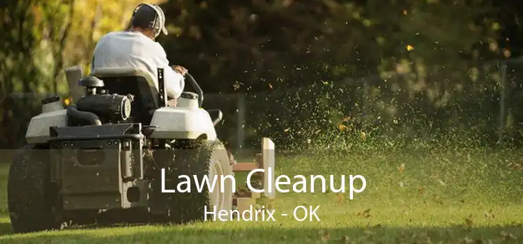 Lawn Cleanup Hendrix - OK