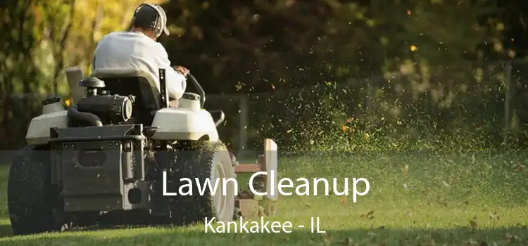 Lawn Cleanup Kankakee - IL