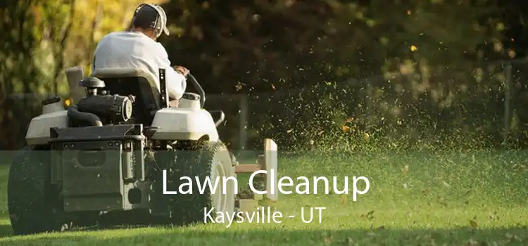 Lawn Cleanup Kaysville - UT
