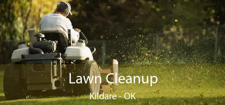 Lawn Cleanup Kildare - OK