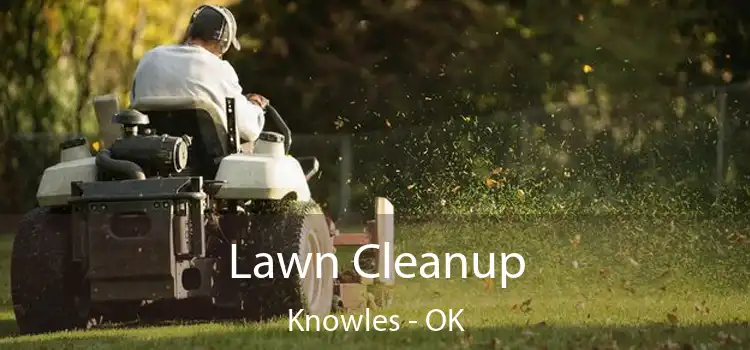 Lawn Cleanup Knowles - OK