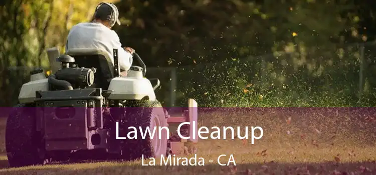 Lawn Cleanup La Mirada - CA