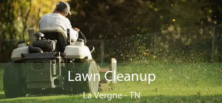 Lawn Cleanup La Vergne - TN