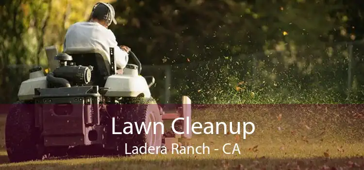 Lawn Cleanup Ladera Ranch - CA