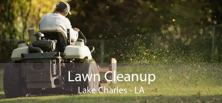 Lawn Cleanup Lake Charles - LA