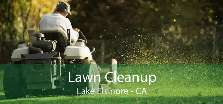 Lawn Cleanup Lake Elsinore - CA