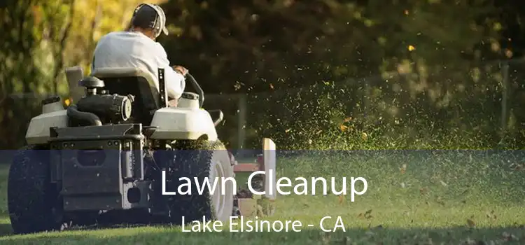 Lawn Cleanup Lake Elsinore - CA