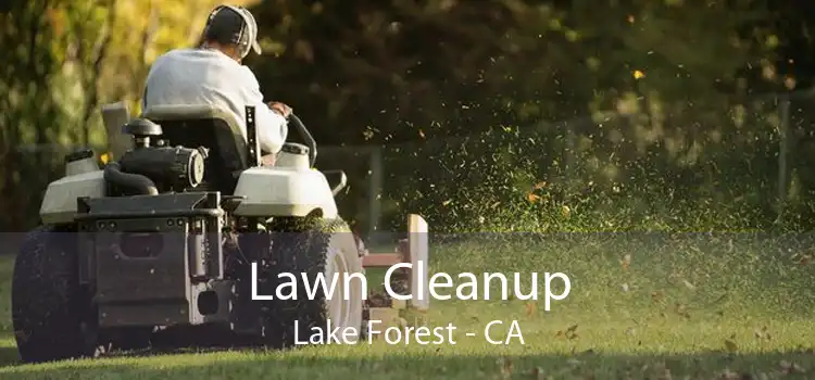 Lawn Cleanup Lake Forest - CA