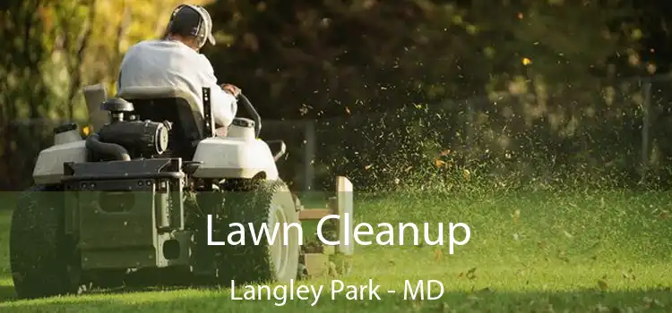 Lawn Cleanup Langley Park - MD