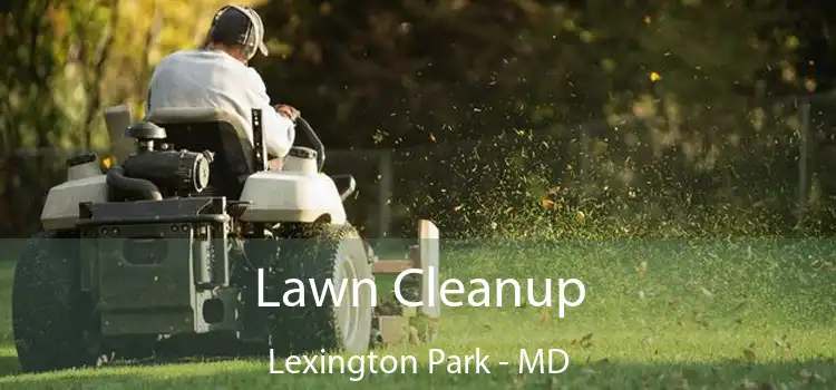  Lawn Cleanup Lexington Park - MD