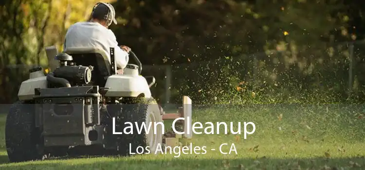 Lawn Cleanup Los Angeles - CA