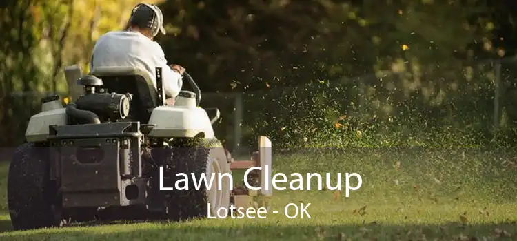 Lawn Cleanup Lotsee - OK