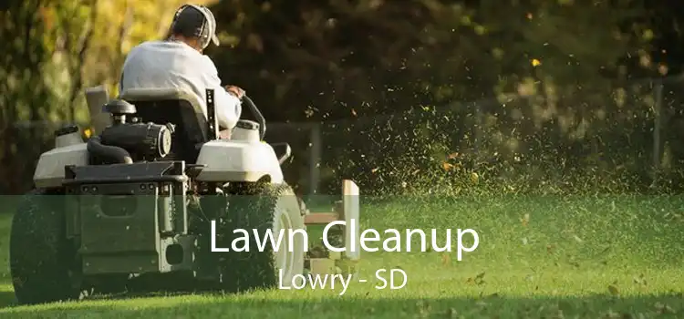 Lawn Cleanup Lowry - SD