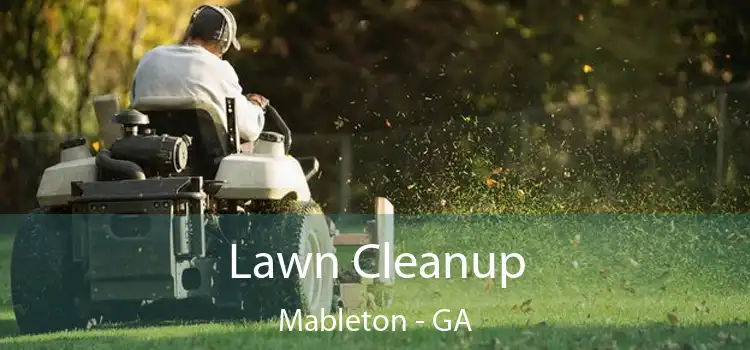 Lawn Cleanup Mableton - GA