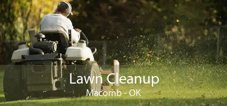 Lawn Cleanup Macomb - OK