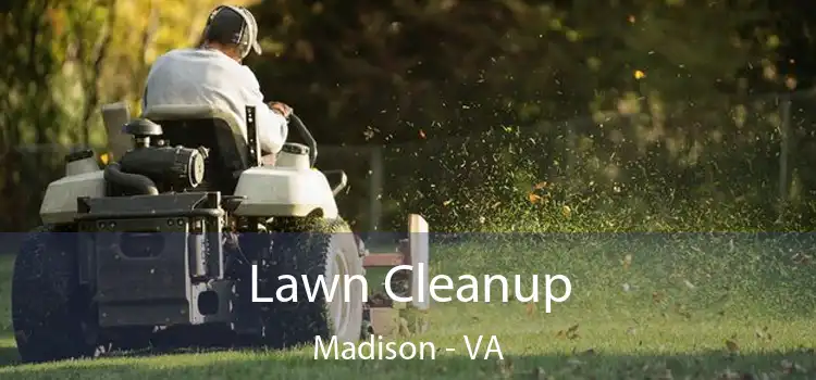 Lawn Cleanup Madison - VA