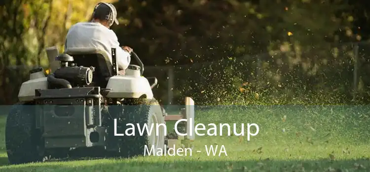 Lawn Cleanup Malden - WA